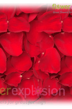 Red Rose Petals
