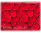 Red Rose Petals