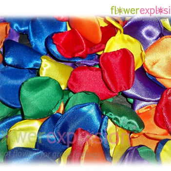 Tinted Rose Petals