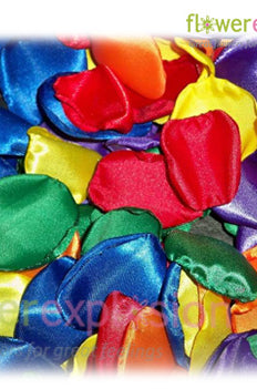 Tinted Rose Petals