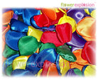 Tinted Rose Petals