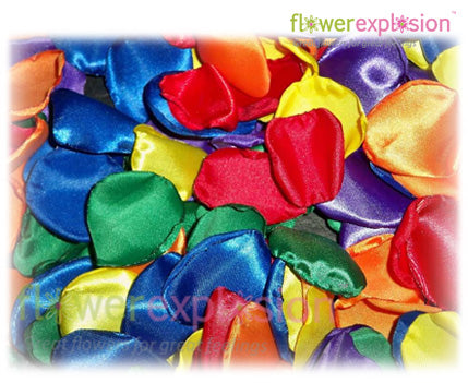 Tinted Rose Petals