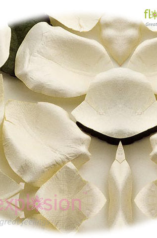 White Petals