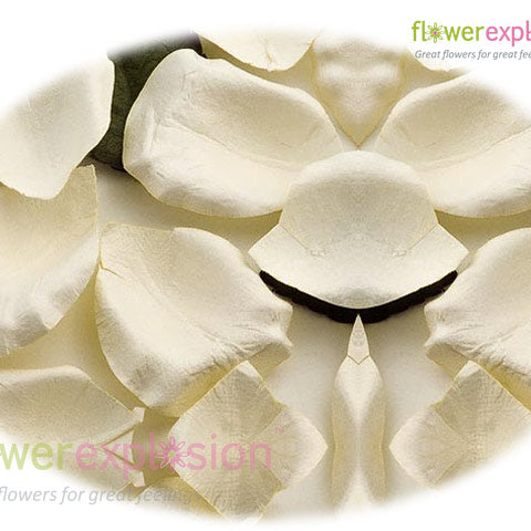 White Petals