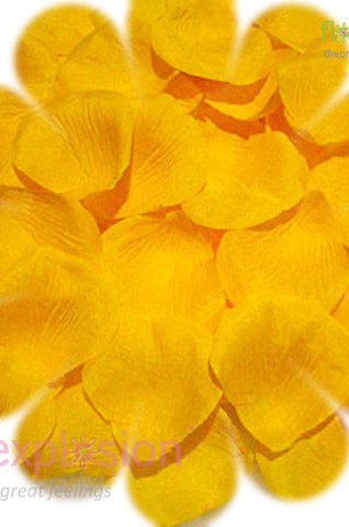 Yellow Petals