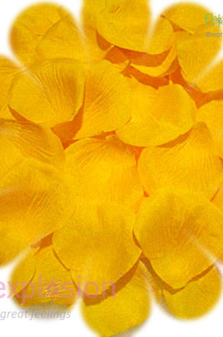 Yellow Petals
