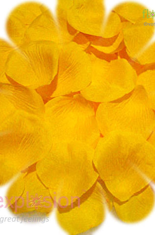 Yellow Petals