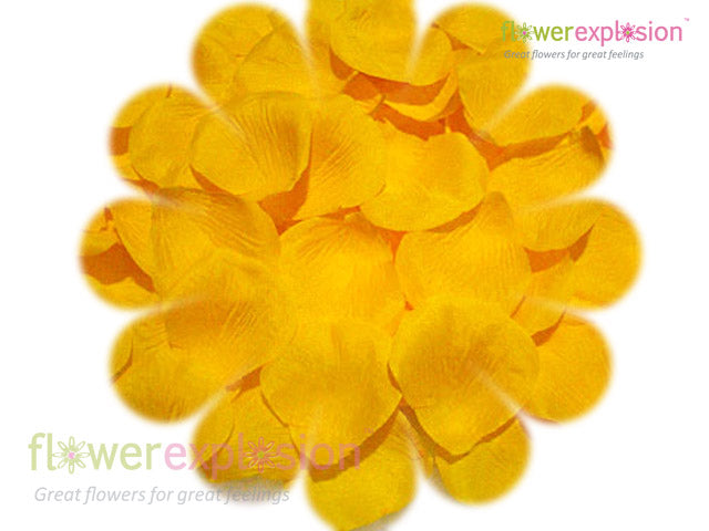 Yellow Petals