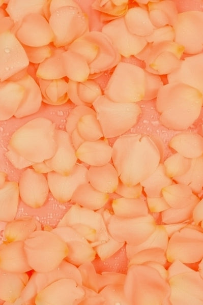 Peach Petals