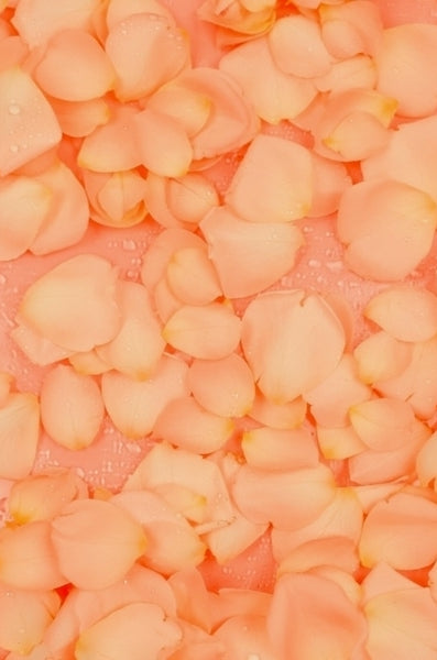 Peach Petals