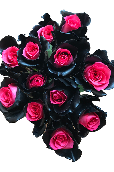 mystic topaz pink black roses