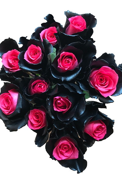 mystic topaz pink black roses