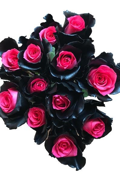 mystic topaz pink black roses