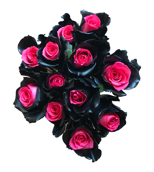 mystic topaz pink black roses