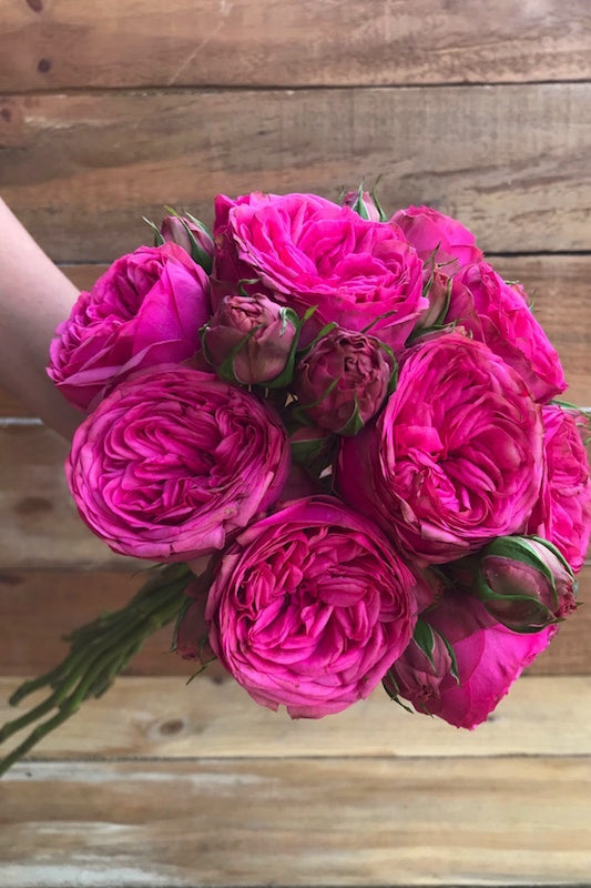 Pink Piano Wedding Rose