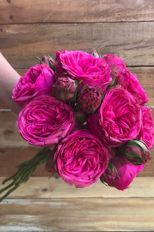 Pink Piano Wedding Rose