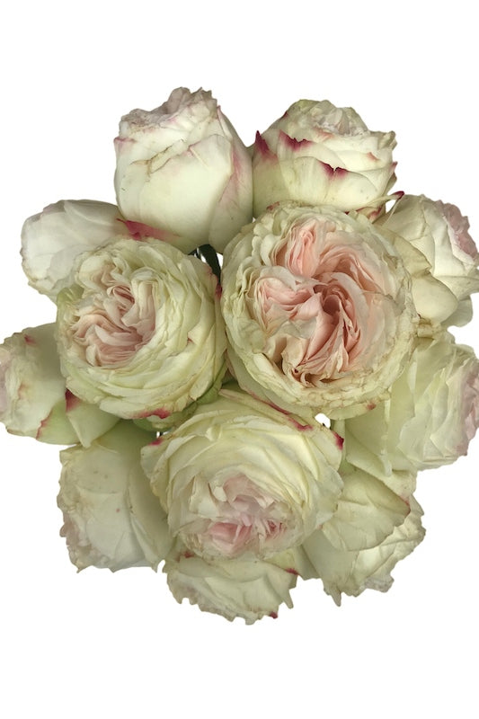 Pink Vintage Wedding Garden Roses