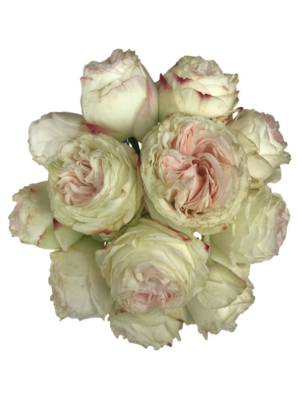 Pink Vintage Wedding Garden Roses