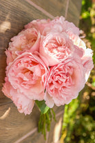 Princess Charlene