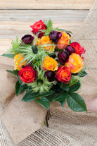 Plum Fun - Vertical