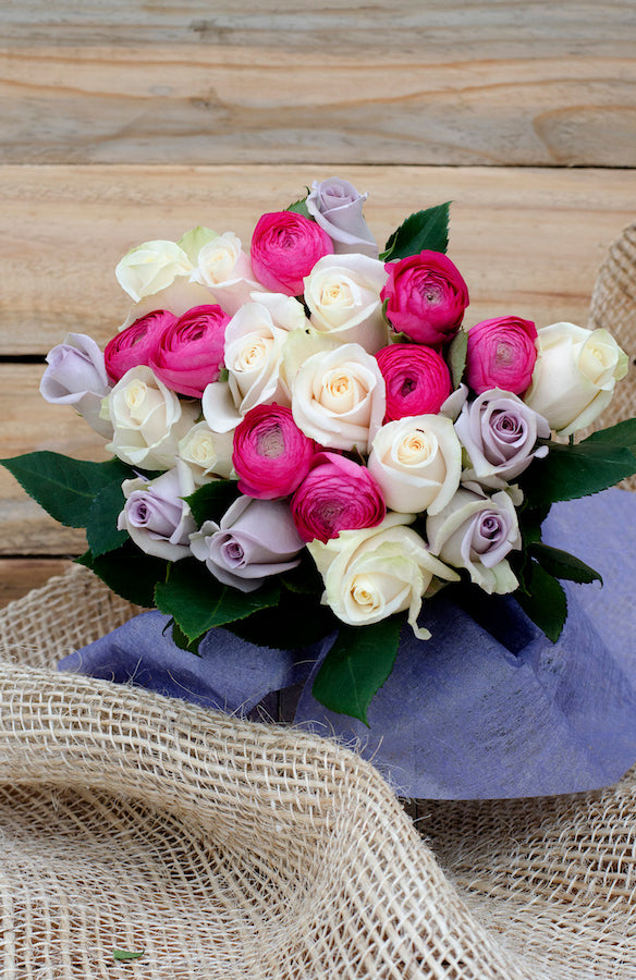 Prima Donna Horizontal