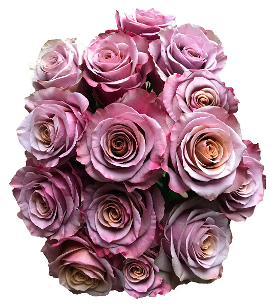 Roses Purple Moon