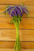 Purple Veronica