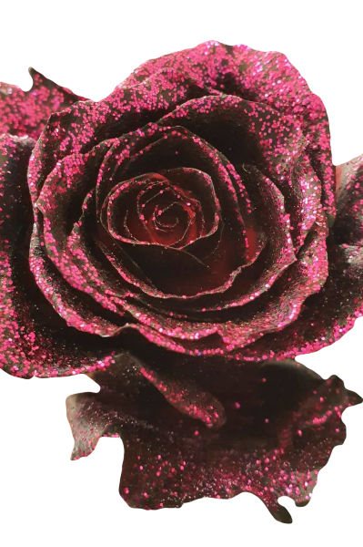 Black Tinted Roses with Pink Glitter