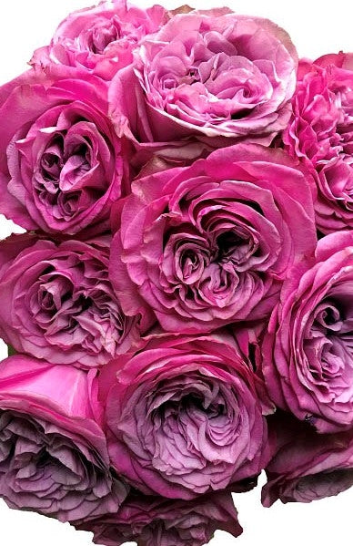 Bridal Queens Crown Roses