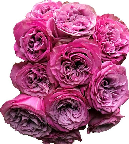 Bridal Queens Crown Roses