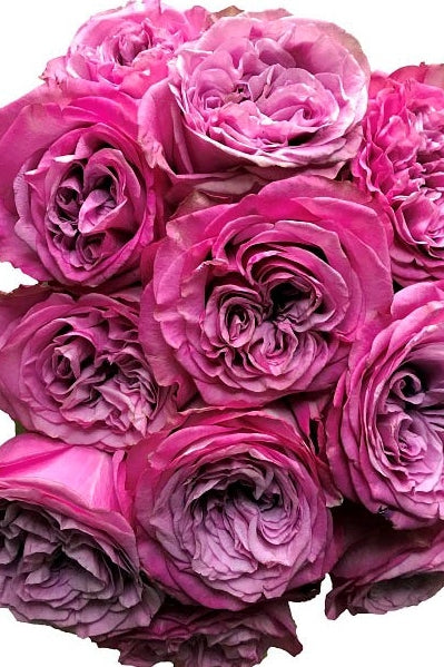 Bridal Queens Crown Roses