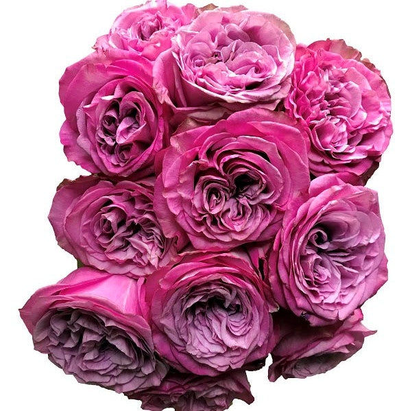 Bridal Queens Crown Roses