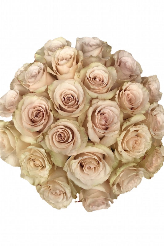 Quicksand Roses