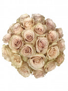 Quicksand Roses