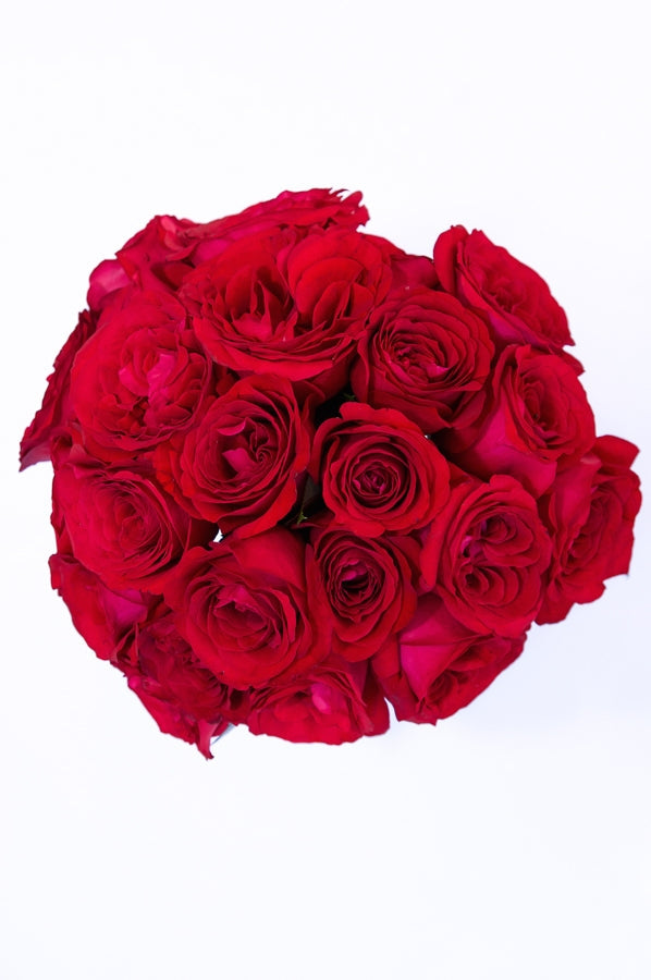 Raspberry Garden Roses