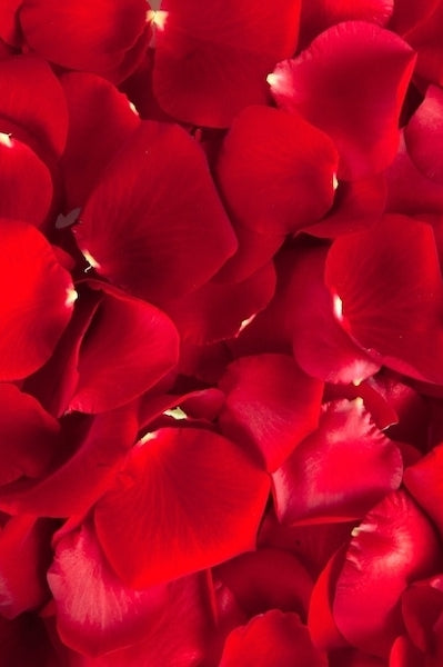 Rose Petals Red