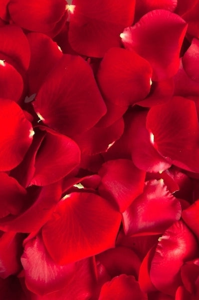 Rose Petals Red