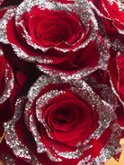 red rose with glitter