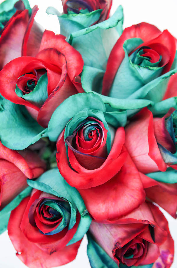 red and green tinted roses