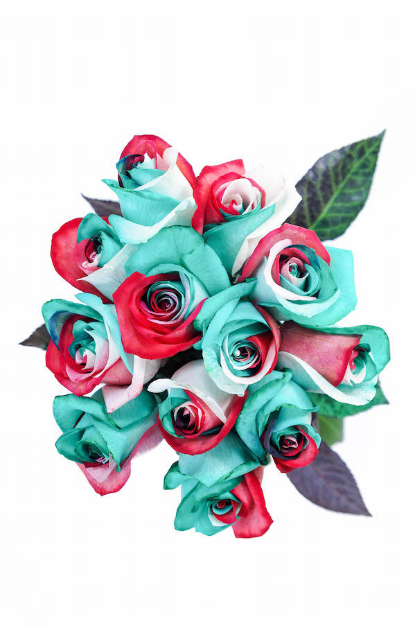 christmas roses, RO-TIN-CHRISTMAS-BO-12, RO-TIN-CHRISTMAS-BO-24, RO-TIN-CHRISTMAS-BO-36, RO-TIN-CHRISTMAS-BU-50, RO-TIN-CHRISTMAS-BU-75, RO-TIN-CHRISTMAS-BU-100, RO-TIN-CHRISTMAS-BU-150, RO-TIN-CHRISTMAS-BU-200