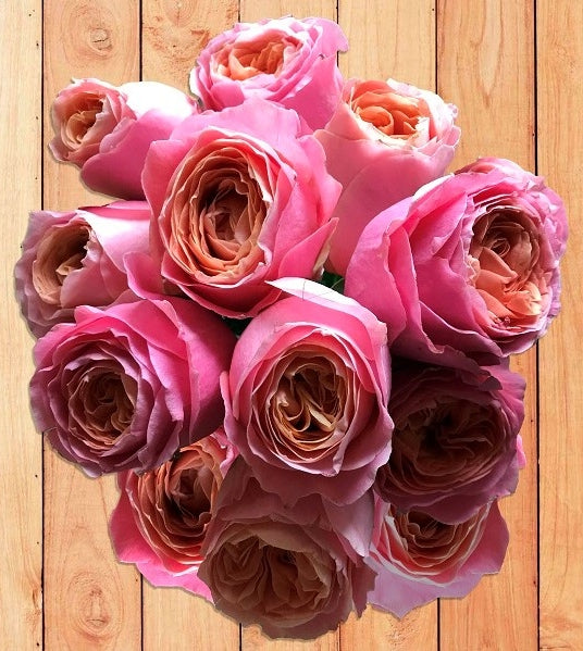 Rosa Loves Me Wedding Rose