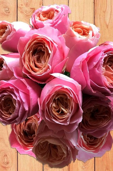 Rosa Loves Me Wedding Rose