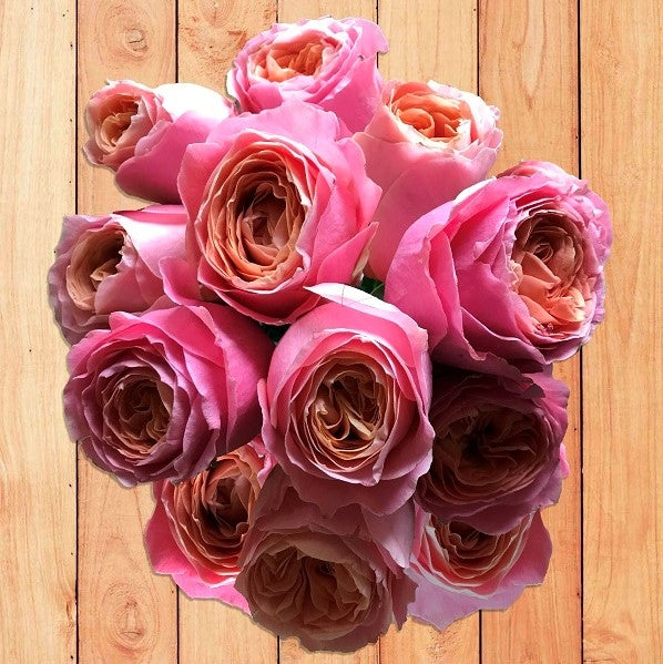 Rosa Loves Me Wedding Rose