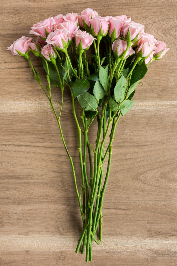 Light pink Spray roses