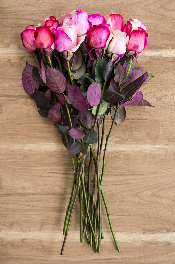 Cotton Candy Tinted Roses