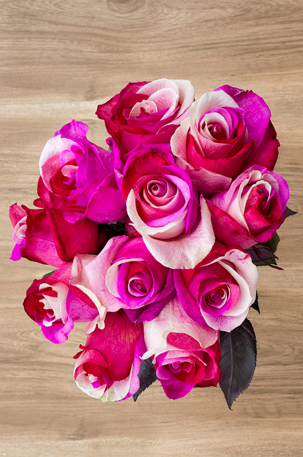 Cotton Candy Tinted Roses
