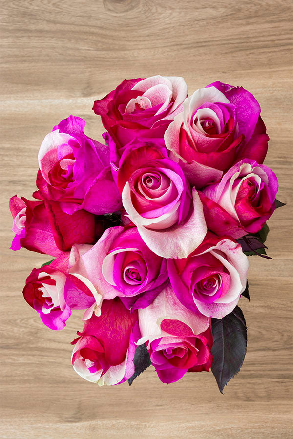 Cotton Candy Tinted Roses