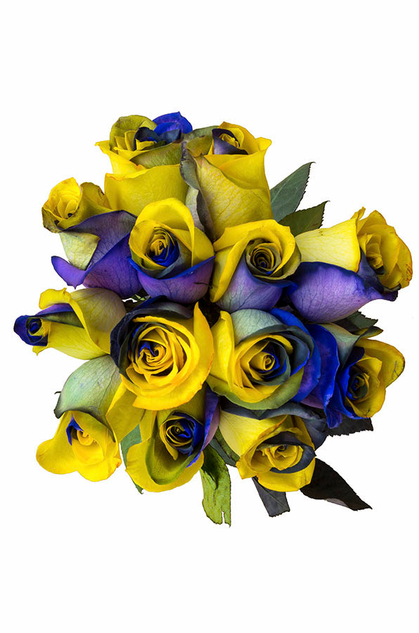 Purple & Yellow Tinted Rose