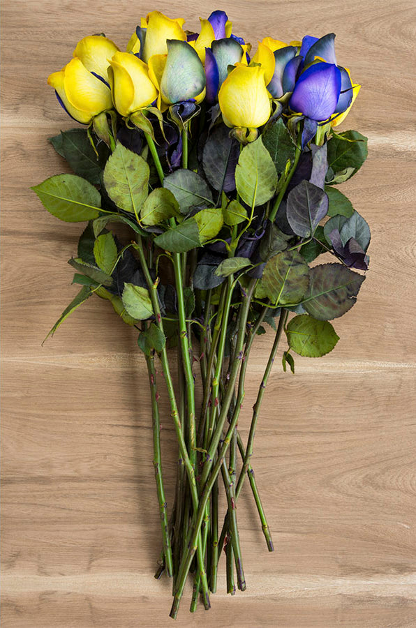 Purple & Yellow Tinted Rose