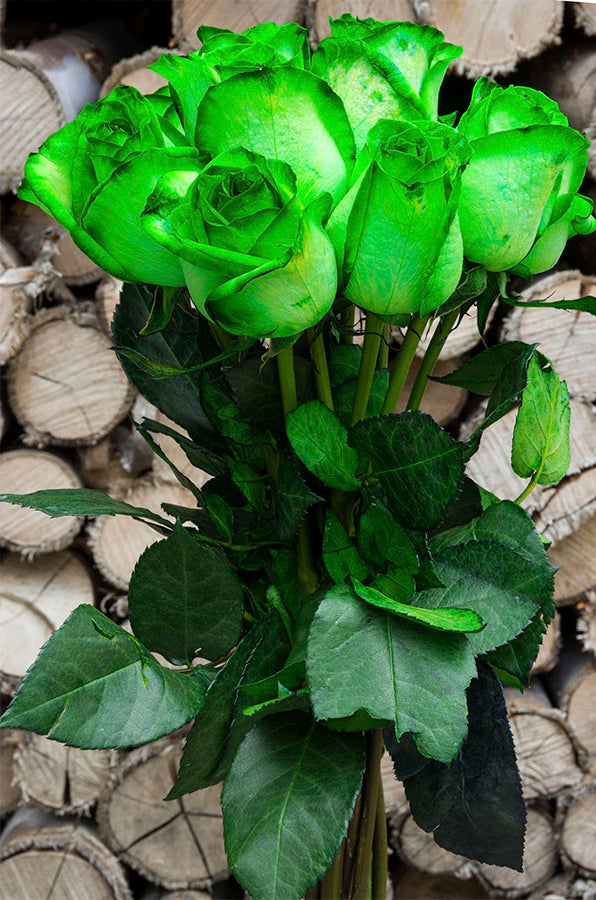 Green Tinted Rose
